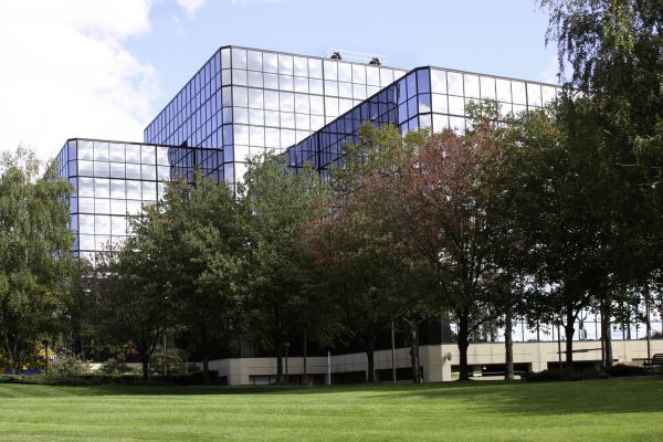 Commercial Tree Trimming in Longwood