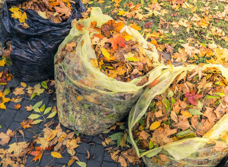 Leaf Collection in Bins